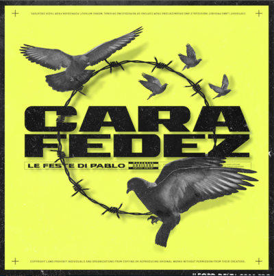 CARA FEDEZ